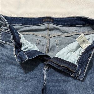 Silver Jeans Classic Blue Denim